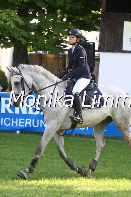 308M9315_Asombo_Springpferde A.JPG